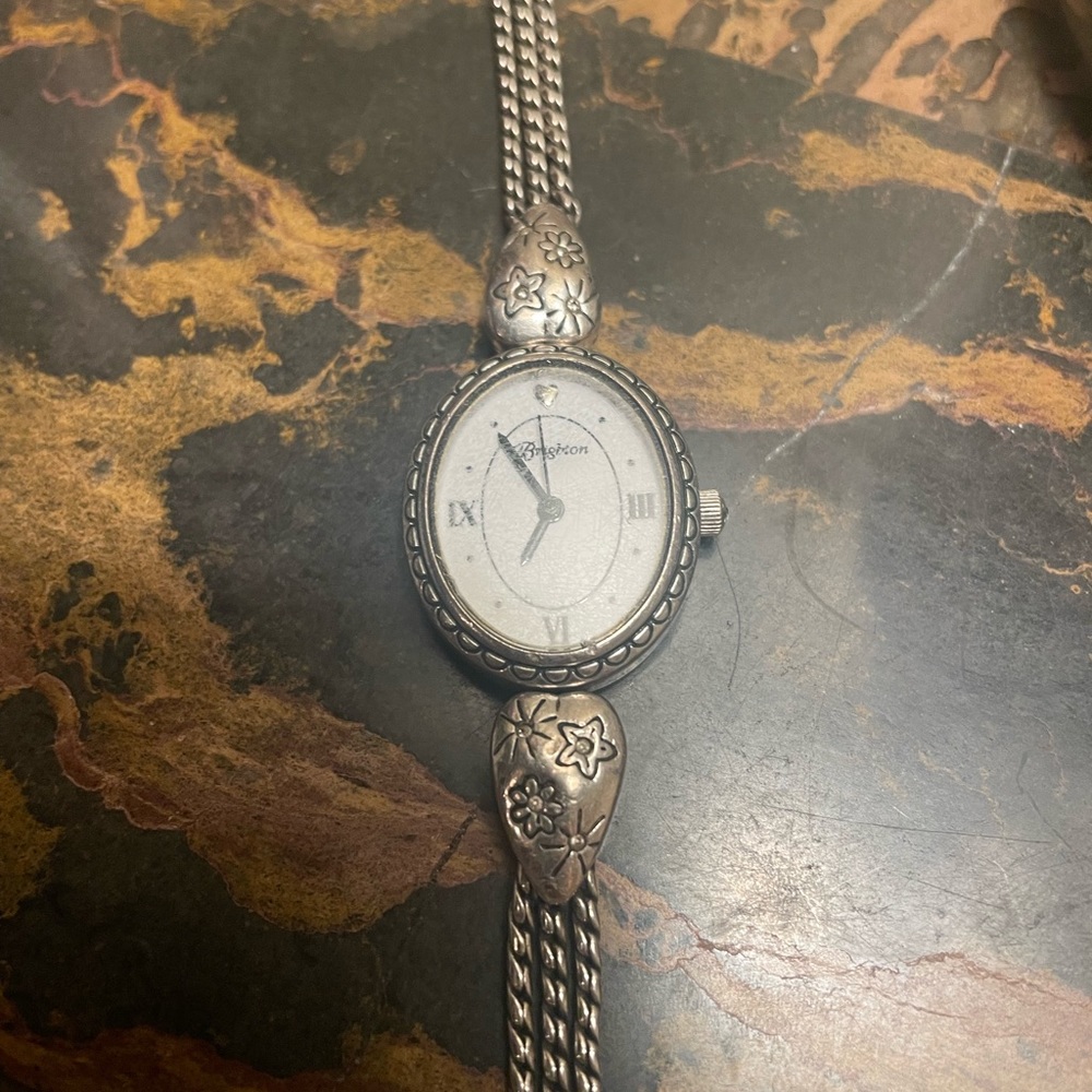 Brighton watch